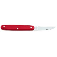 N Wenger Graft 03